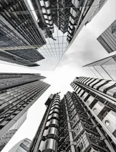 Operating In The Grey: Business Strategy When Stability Is An Illusion